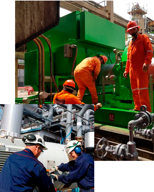 SEIES Servicios Industriales Especializados